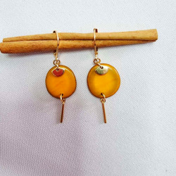 Boucles d'oreilles Livia en acier inoxydable et graine de bombona