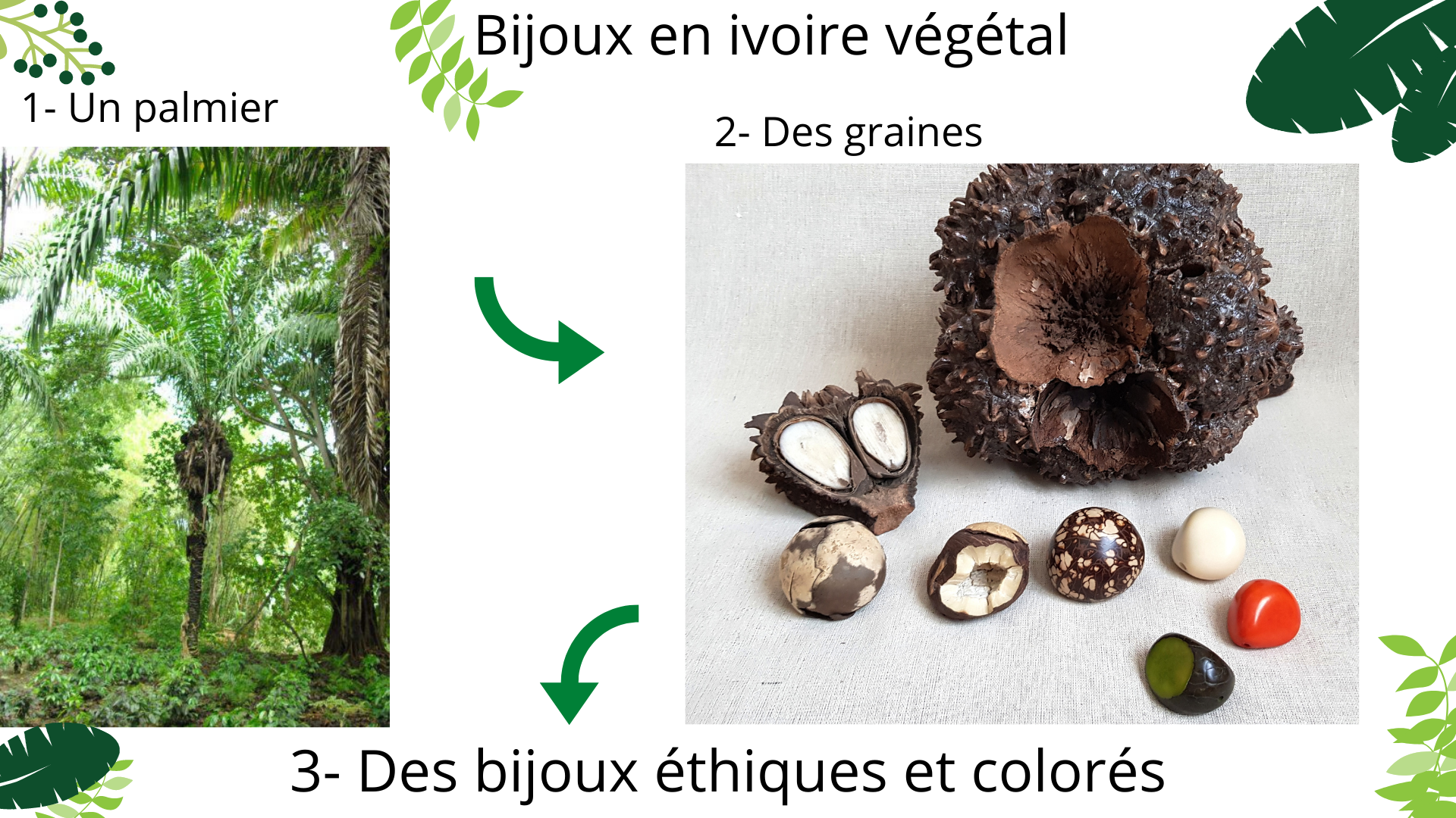 Bijoux en ivoire végétal.png